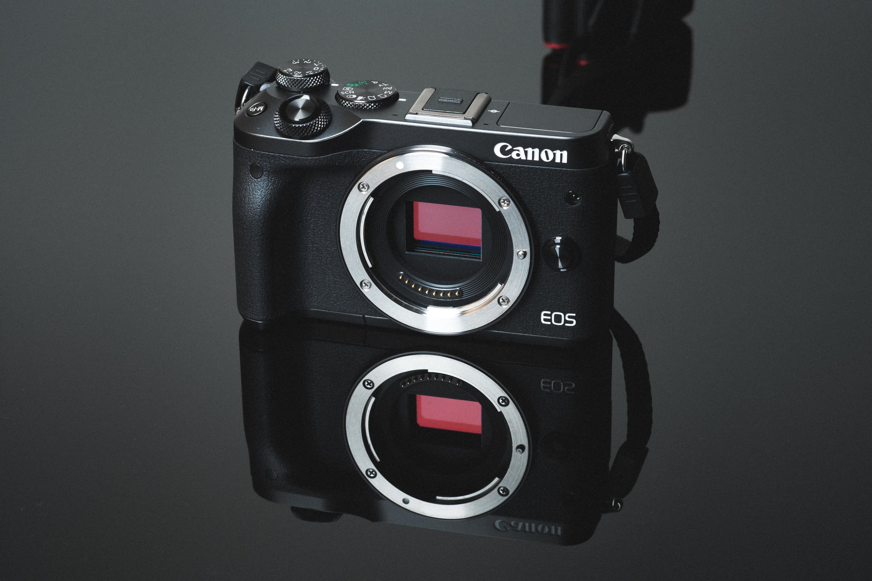 2023 Exploring the Best Canon Camera Accessories for Enhanced Photography