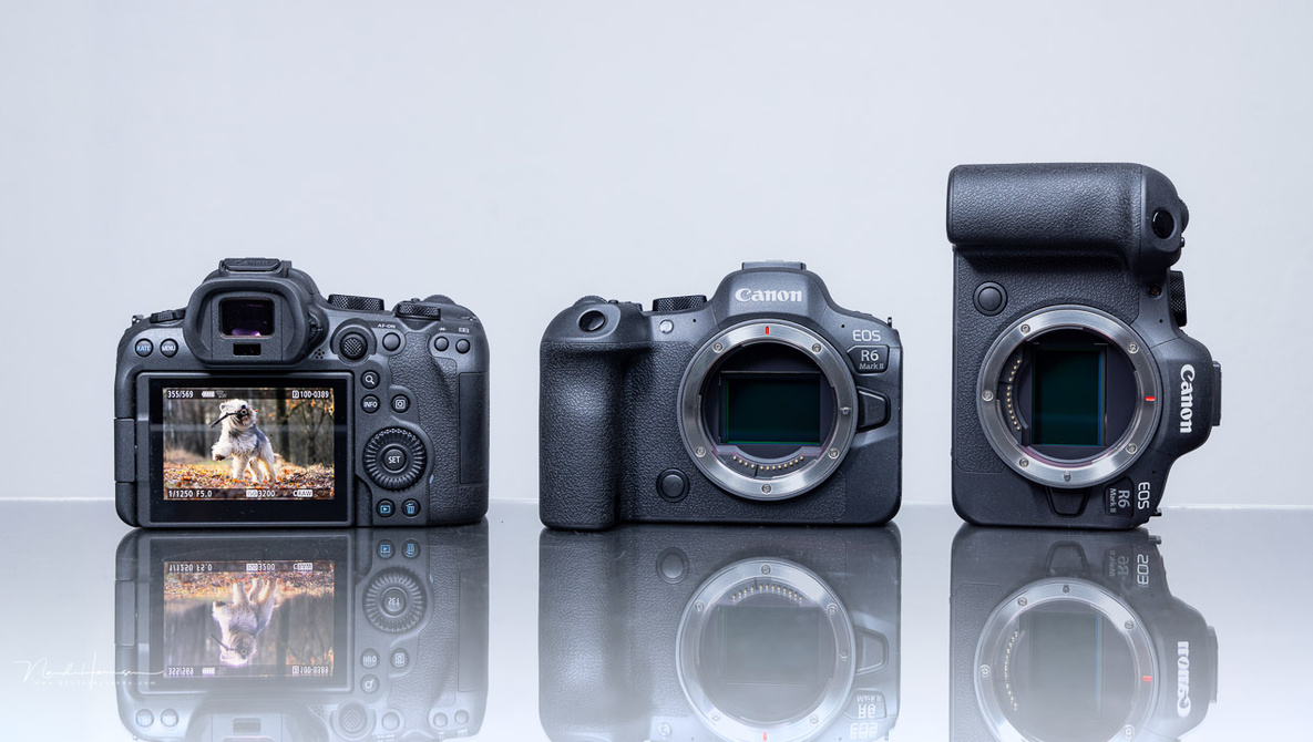 Canon Camera Comparison Finding the Perfect Camera for Your Needs