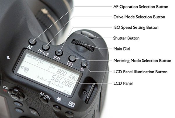 Canon Camera Settings for Outdoor Portraits A Comprehensive Guide