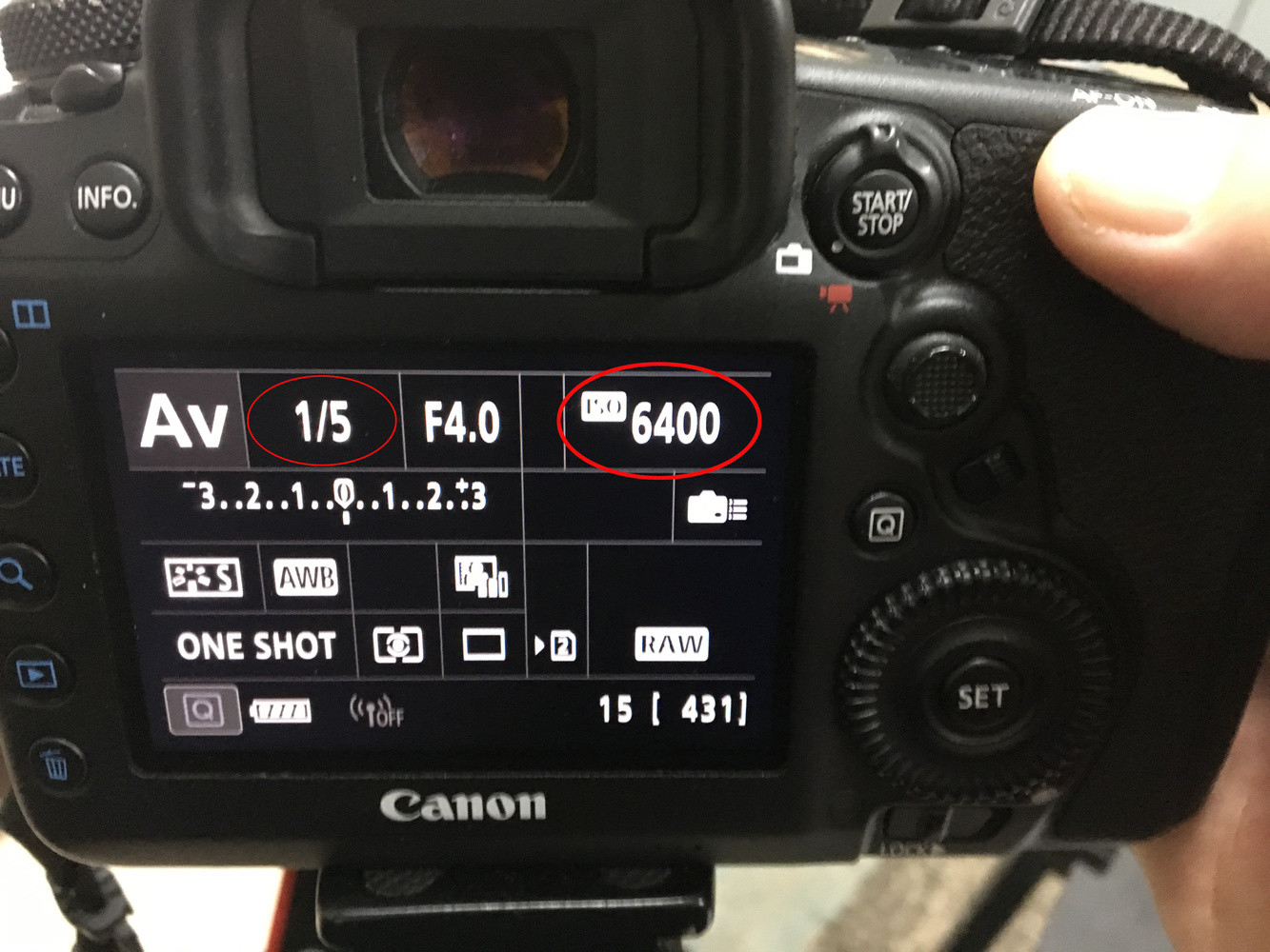 Canon Camera Settings for Outdoor Portraits A Comprehensive Guide