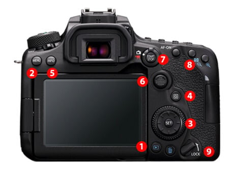 Canon Camera Tips The Ultimate Guide for Beginners