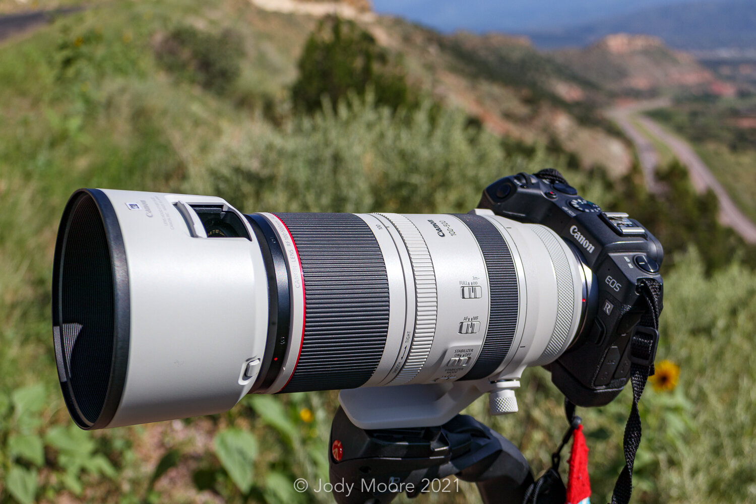Canon RF 100-400mm f/5.6-8 IS USM Lens Review Pros, Cons, and Alternatives