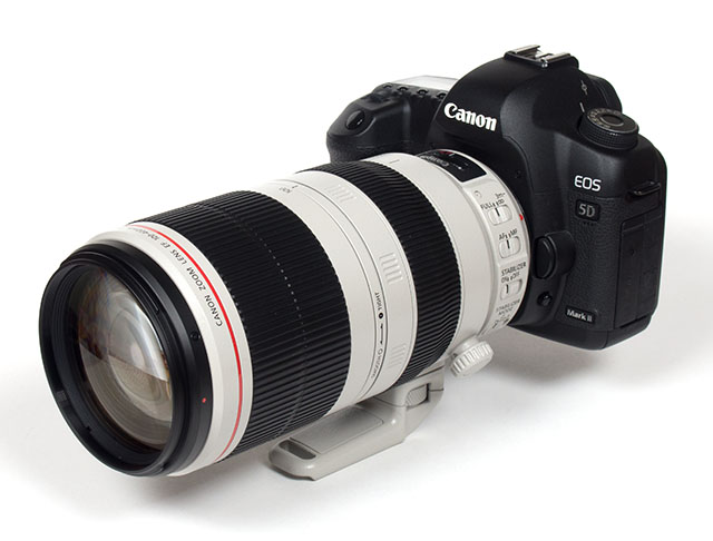 Canon RF 100-400mm f/5.6-8 IS USM Lens Review Pros, Cons, and Alternatives
