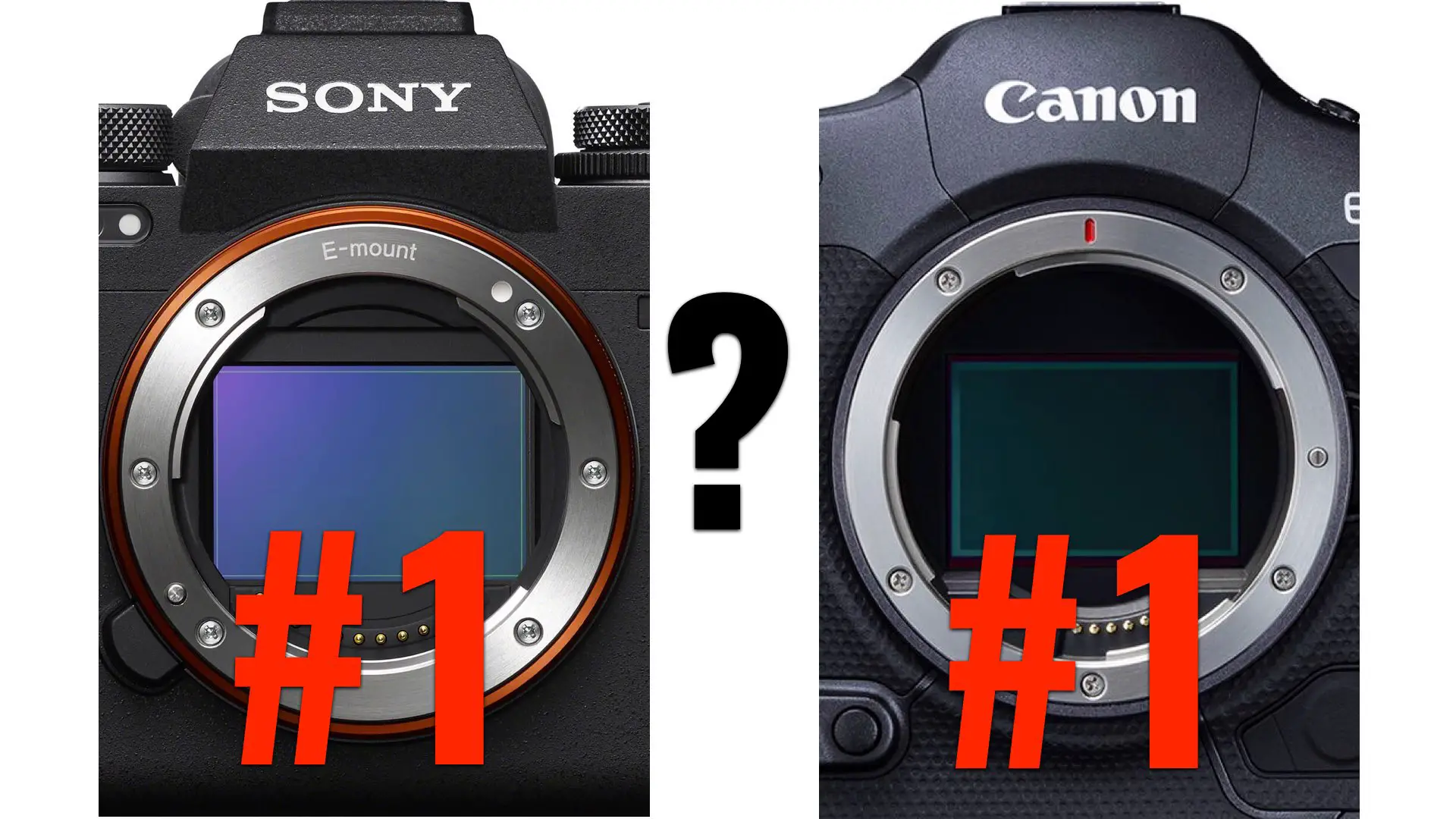Title Unleashing Creativity with Canon Mirrorless Cameras A Comprehensive Guide