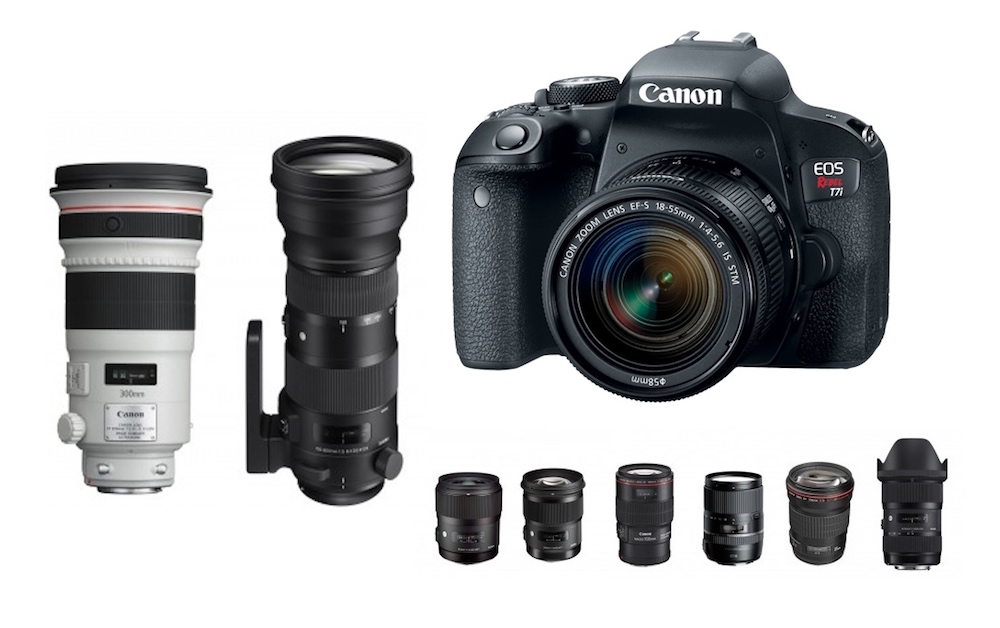 Title Canon EOS Rebel T7i Unleashing the Power of the Versatile T7i Camera